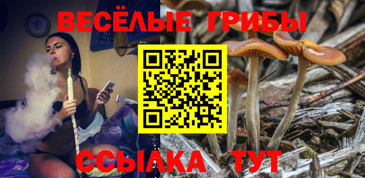 Галлюциногенные грибы Psilocybe Ижевск
