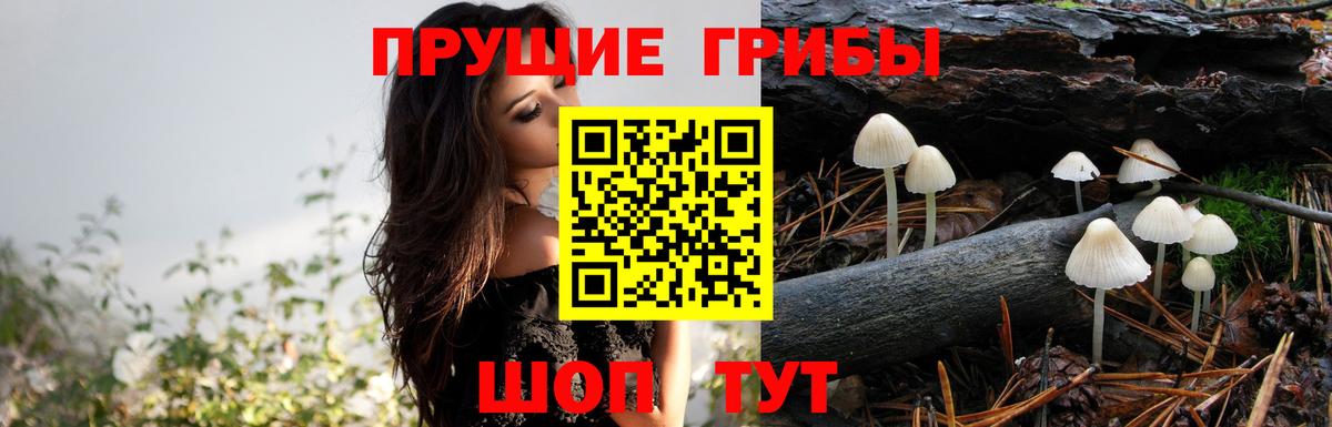 Ижевск  Псилоцибиновые грибы GOLDEN TEACHER  Галлюциногенные грибы Magic Shrooms  Вход с VPN 